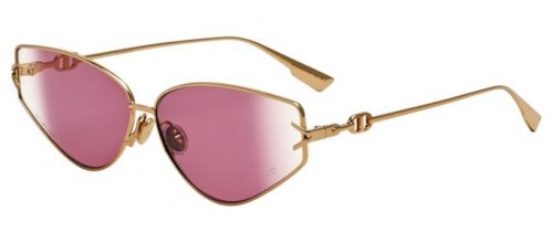 DIOR GIPSY 2